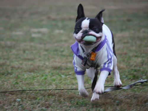 20090921_sp5dw14.jpg
