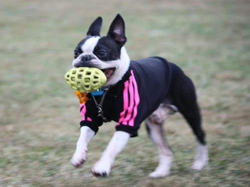 20090921_sp5dw15.jpg