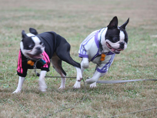 20090921_sp5dw16.jpg