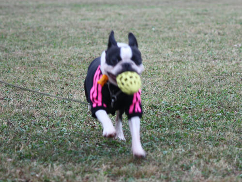 20090921_sp5dw17.jpg