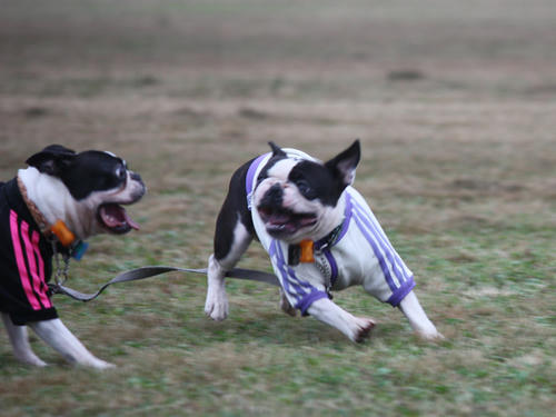 20090921_sp5dw18.jpg