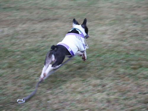 20090921_sp5dw19.jpg