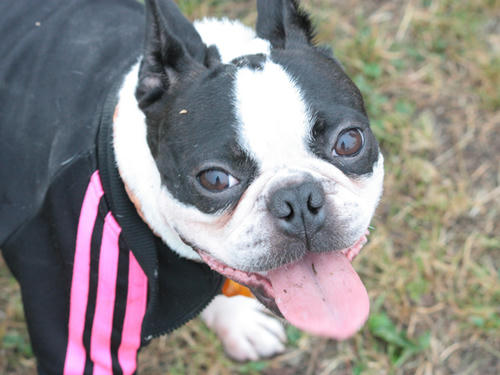 20090921_sp5dw22.jpg
