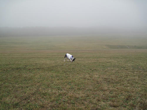 20090921_sp5dw23.jpg