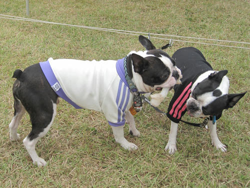 20090921_sp5dw32.jpg