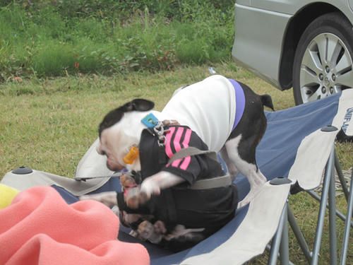 20090921_sp5dw37.jpg