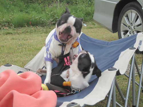 20090921_sp5dw38.jpg