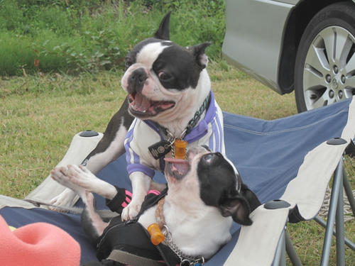 20090921_sp5dw39.jpg