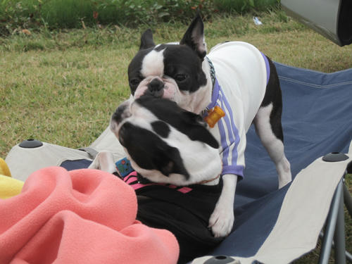 20090921_sp5dw42.jpg