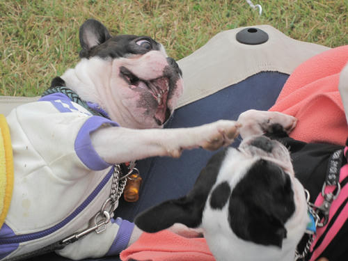 20090921_sp5dw44.jpg
