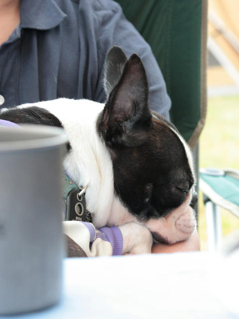 20090921_sp5dw49.jpg