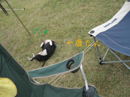20090921_sp5dw50.jpg