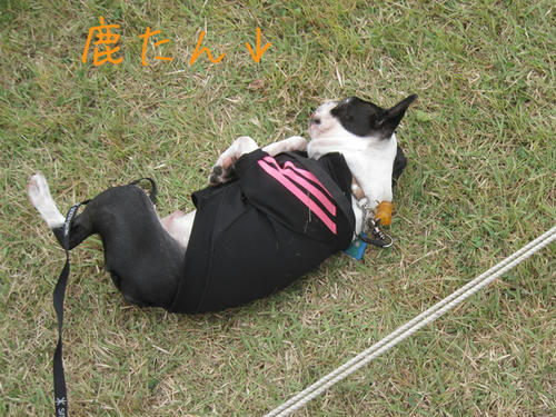 20090921_sp5dw51.jpg