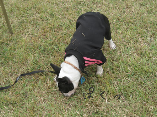 20090921_sp5dw54.jpg