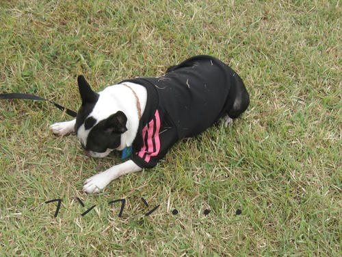 20090921_sp5dw56.jpg