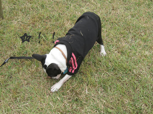 20090921_sp5dw57.jpg