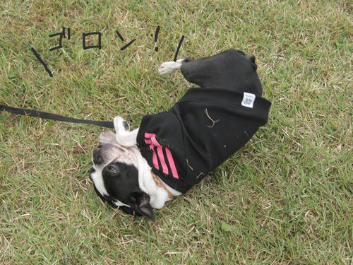20090921_sp5dw58.jpg