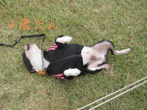 20090921_sp5dw62.jpg