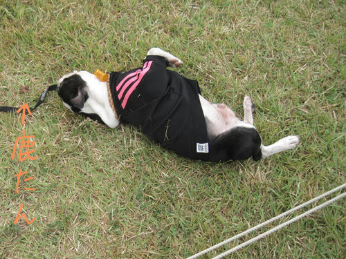 20090921_sp5dw63.jpg