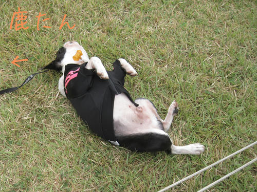 20090921_sp5dw65.jpg