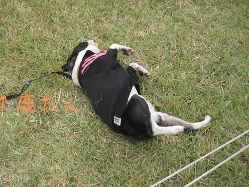 20090921_sp5dw66.jpg