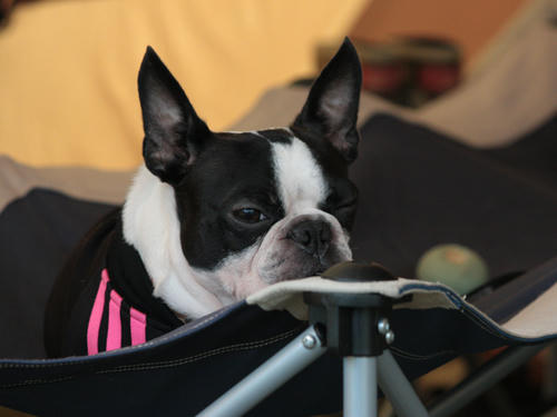 20090921_sp5dw68.jpg