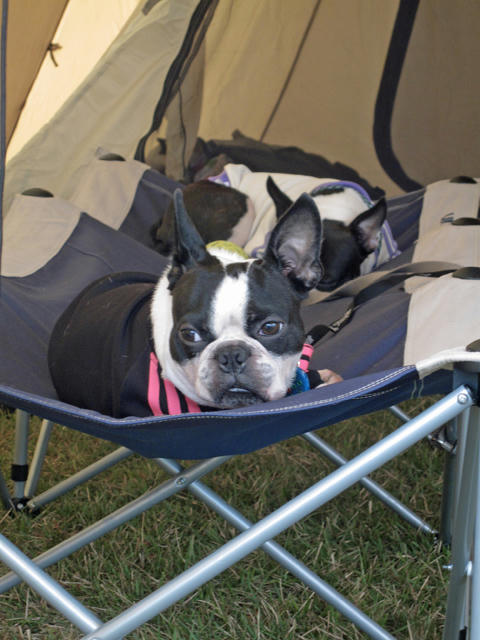 20090921_sp5dw69.jpg