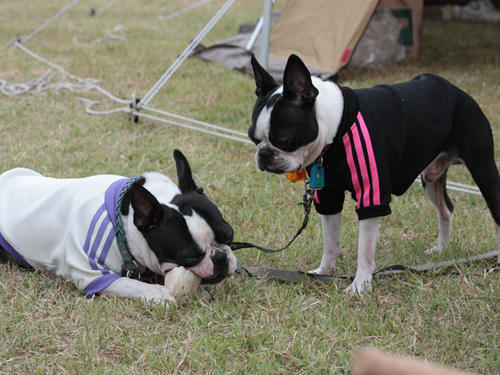 20090921_sp5dw71.jpg