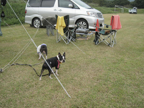 20090921_sp5dw75.jpg