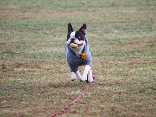 20090922_sp5dw02.jpg