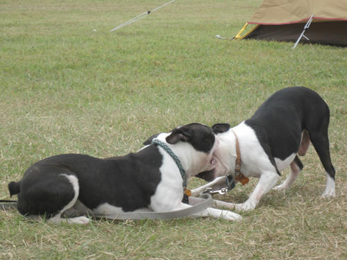 20090922_sp5dw05.jpg
