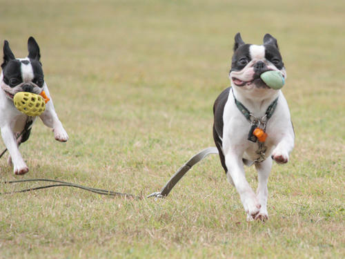 20090922_sp5dw10.jpg
