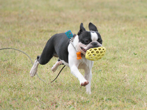 20090922_sp5dw12.jpg