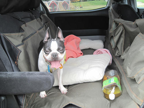 20090922_sp5dw13.jpg