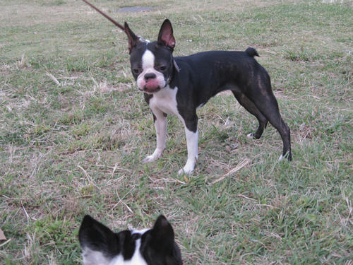 20090927_rinkopark01.jpg