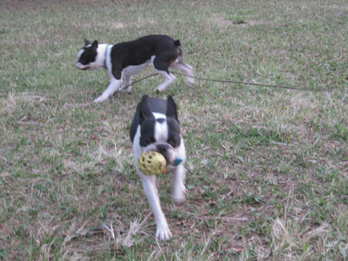 20090927_rinkopark02.jpg