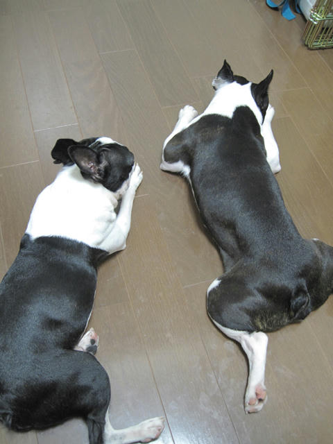 20090930_cooldown01.jpg