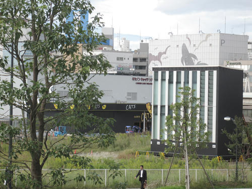 20091003_ichiba10.jpg