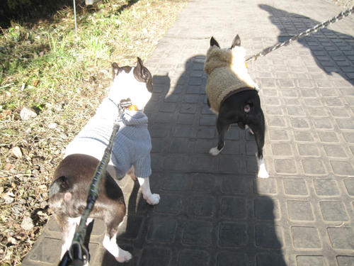 20091011_aj02.jpg
