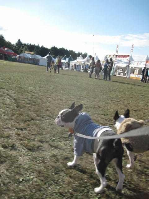 20091011_aj08.jpg