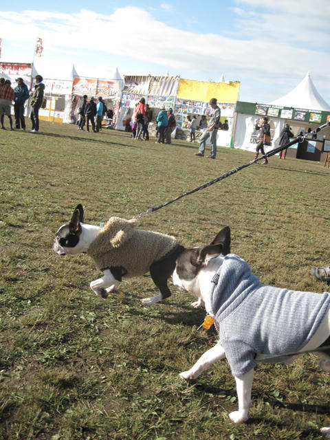 20091011_aj09.jpg
