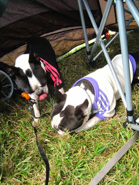 20091011_aj17.jpg