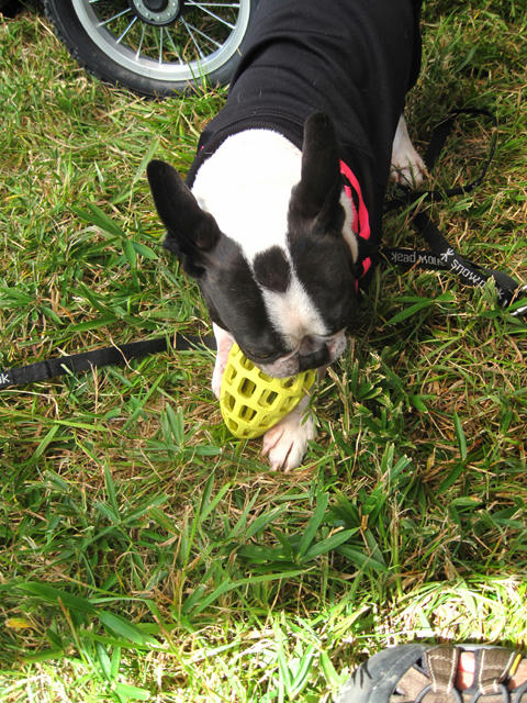 20091011_aj19.jpg