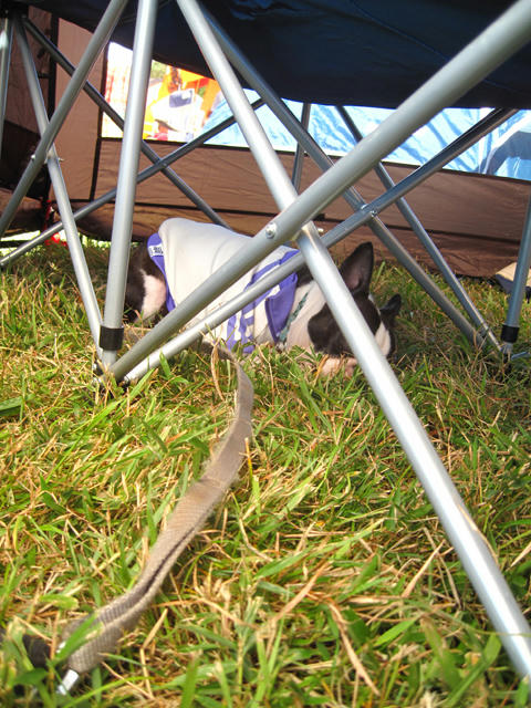 20091011_aj20.jpg