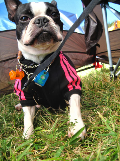 20091011_aj21.jpg