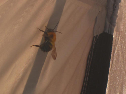 20091011_aj22.jpg