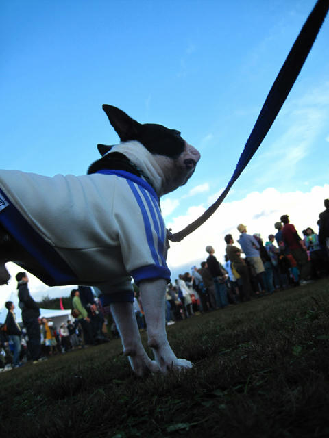 20091011_aj26.jpg