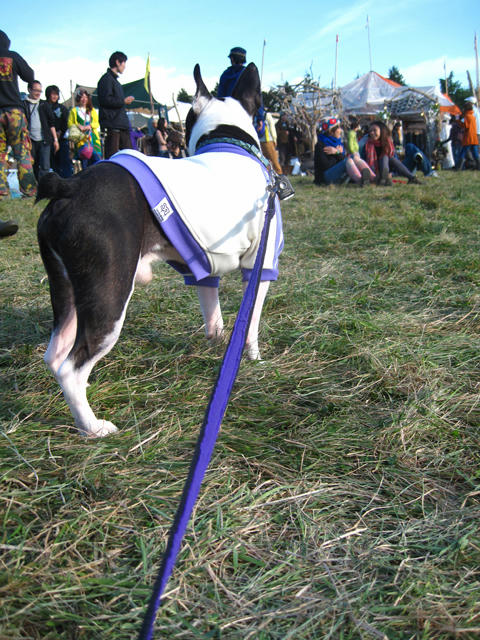 20091011_aj30.jpg