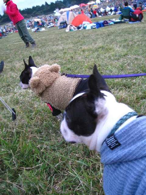 20091011_aj36.jpg