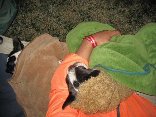 20091011_aj37.jpg